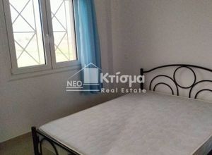 Μονοκατοικία για ενοικίαση - Πύργος, - Photo 3