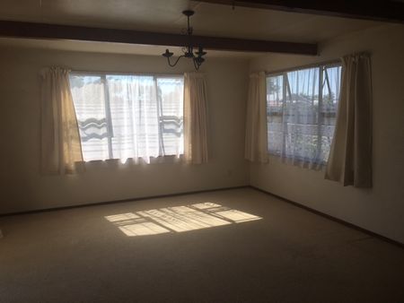 Cabot Place, Flaxmere - Photo 2