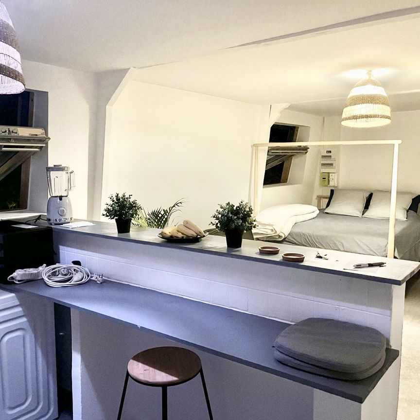 Location Appartement 2 pièces 31m² ROUBAIX 59100 - Photo 1