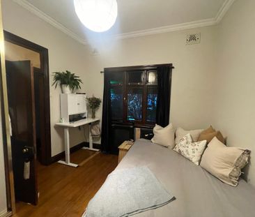 Camperdown - Photo 6