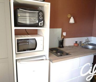 Location appartement t1 16 m² à Nantes (44000) St Donatien/Jardin d... - Photo 6