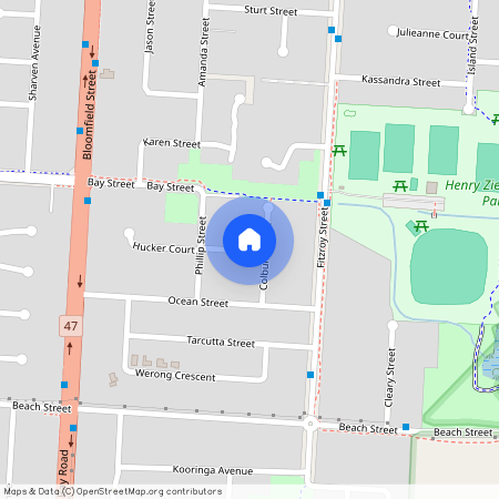 13 Colburn Street, Qld 4163, Cleveland