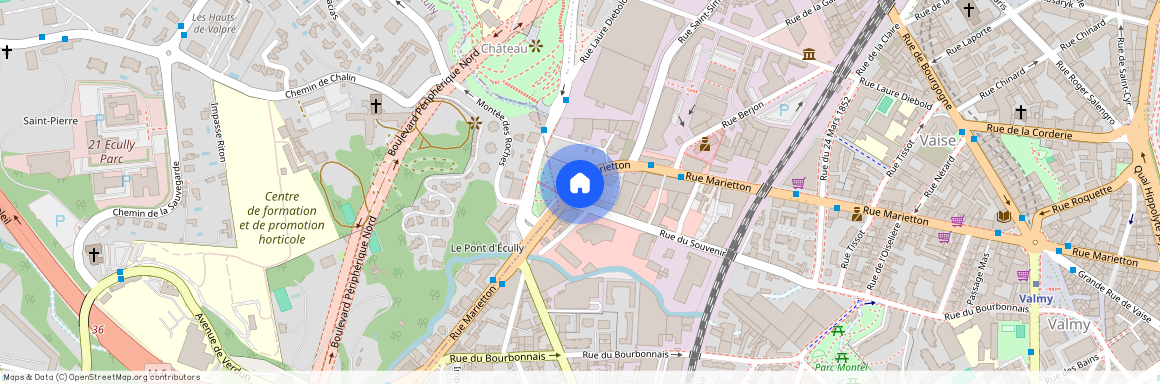 101 Rue Marietton, 69009 Lyon