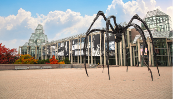 The Carlisle - Photo 1