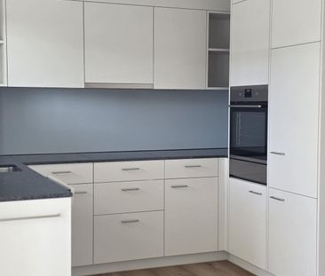 First rental after total renovation Modern living with style - Photo 4