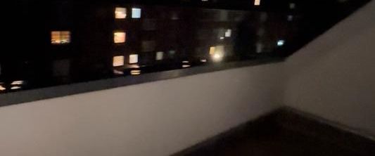 Renovierte 2-Zimmer Wohnung mit EBK + Balkon - Foto 1