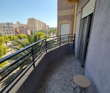 Elche / Elx - Photo 3