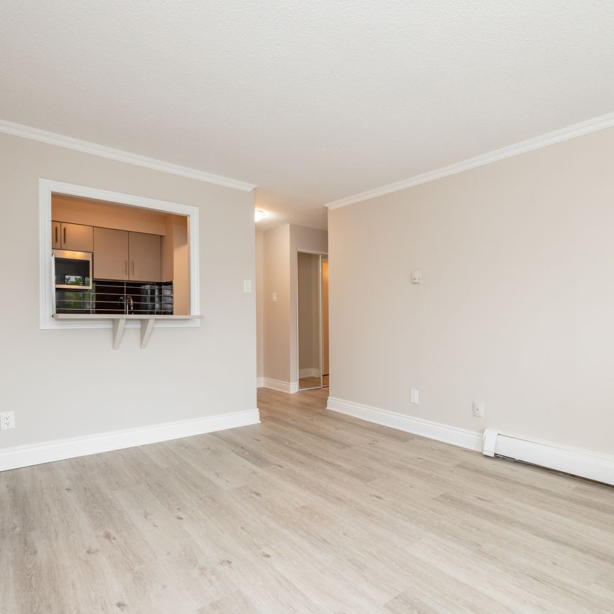 215 Clarence Street Apartments - Photo 1