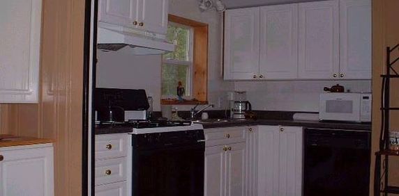 Wilderness Homestead Living - 10 Acres - Photo 2