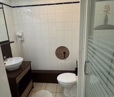 Location Appartement 1 pièce 19m² - Photo 6