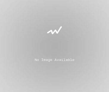 Whisper quiet, pet friendly. - Photo 1