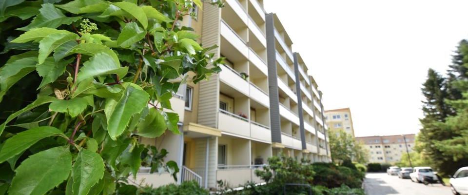 *Gemütliche 2-Raum-Wohnung im 1.OG mit Dusche* - Foto 1