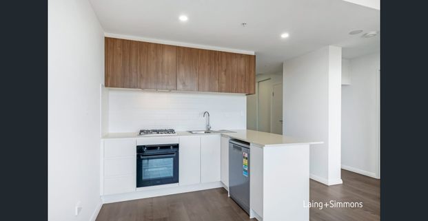 Brand New Luxury Apartments in Prime Mays Hill Location! - Photo 1