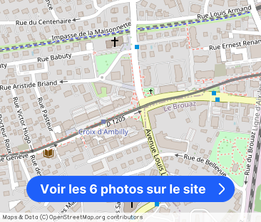 Rue de Genève, Ambilly - Photo 1
