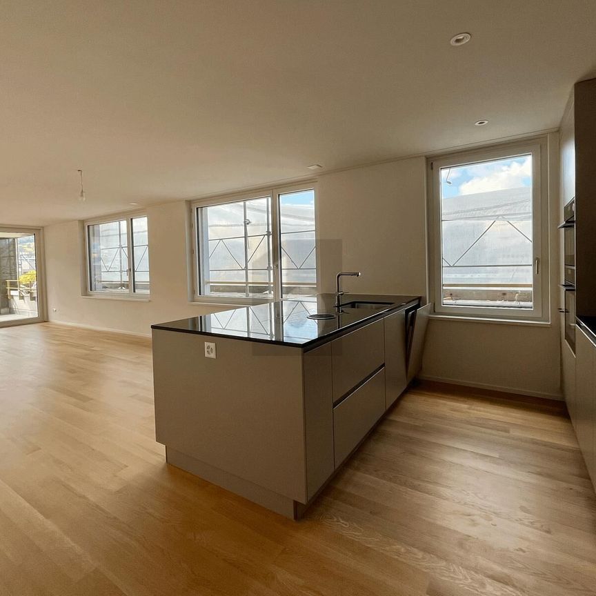 FIRST-USE: LARGE BALCONY, VIEW OF THE ÜETLIBERG - Photo 1