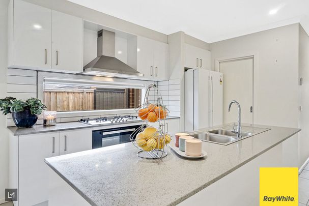 Designed for Life, Crafted for Comfort - Photo 1