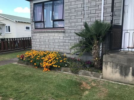 Charming 3BR Home with Garden - Te Awamutu - Photo 2