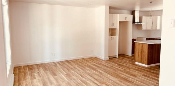 🏡 À louer – Rez de chaussée de duplex à Saint-Donat 🌲 - Photo 2