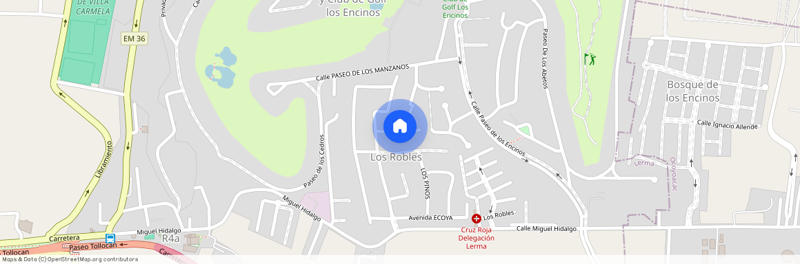 Calle Tilo, Los Robles, Fraccionamiento y Club de Golf los Encinos, Lerma, México, 52005, MEX