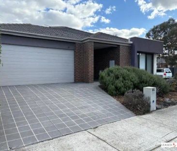 85 Pearson Road, Mernda VIC 3754 - Photo 4