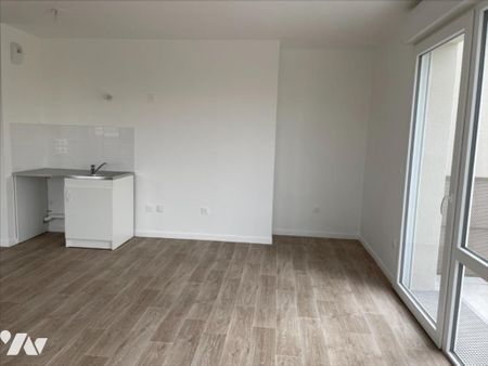 HAIE VIGNE - Photo 4