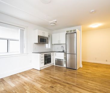 54 Maitland Street - Photo 6