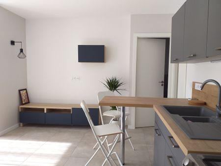 Appartement T2- 41,53 Chaponnay Chaponnay (69970) Le bien en vidéo - Photo 3