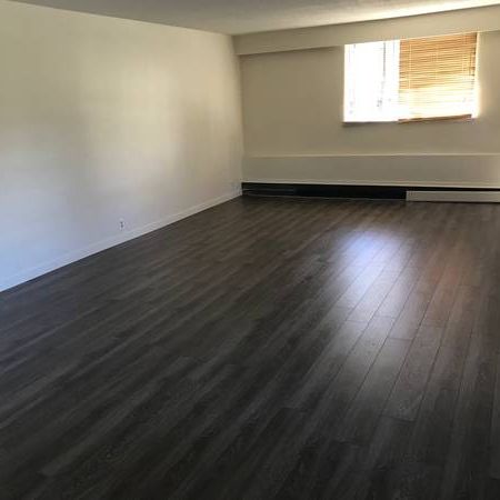 Huge 4 bedroom, 2 bathroom, 1st floor apt - Photo 3