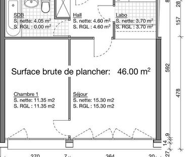 Appartement rénové de 2.5 pièces à Onex - Foto 6