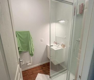 Location Appartement 1 pièce 32m² ALBI 81000 - Photo 5