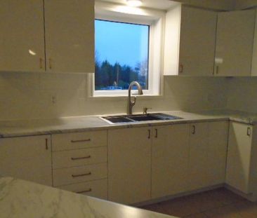 4 ½ 1 er étage Upper Edison ST Lambert LIBRE - Photo 4