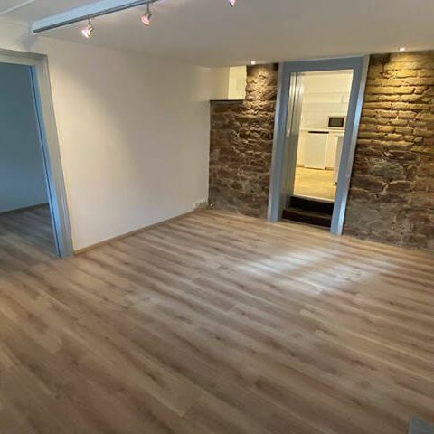 A LOUER - 2 PIECES - HYPER CENTRE - STRASBOURG - Photo 1