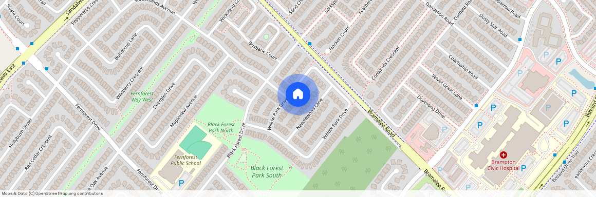 169 Willow Park Drive Unit# Lower, Brampton