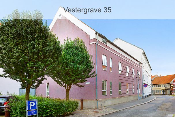 Afd. 39 Vestergrave 2 - Photo 1