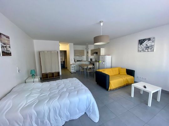Location Appartement 1 pièce 44m² - Photo 1