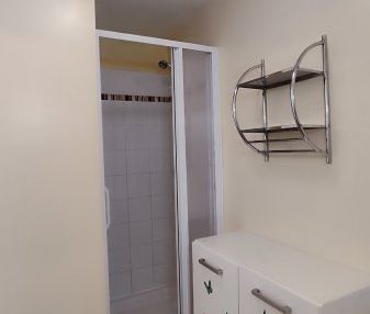 Appartement 1 Pièce 19 m² - Photo 4