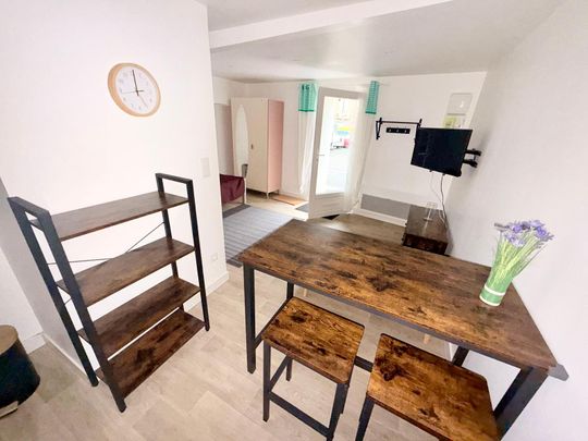 Location Appartement 1 pièce 20m² BEDARIEUX 34600 - Photo 1