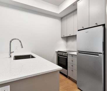 1485 Rue des Bassins, Montréal (Le Sud-Ouest), QC H3C - Photo 6