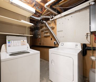 For Lease - 162 Walton Drive Unit# Basement, Aurora, Ontario - Photo 5