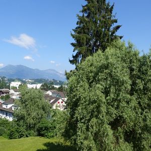 Ihre Citywohnung mit Bergsicht - Foto 2