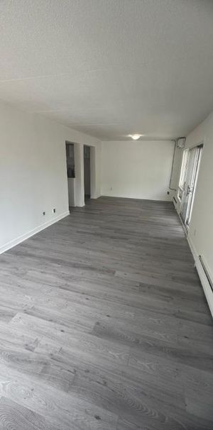 2 CH - 1 SDB - Québec - $1,349 /mo - Photo 1
