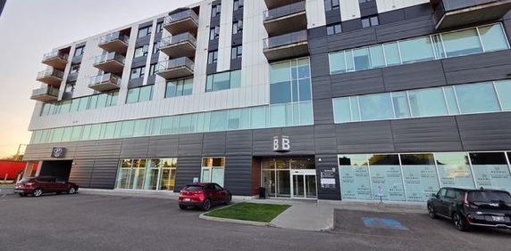 Cession de bail - Condo locatif 4 1/2 + Lévis (Desjardins) ***1 mois gratuit**** Animaux acceptés. - Photo 2