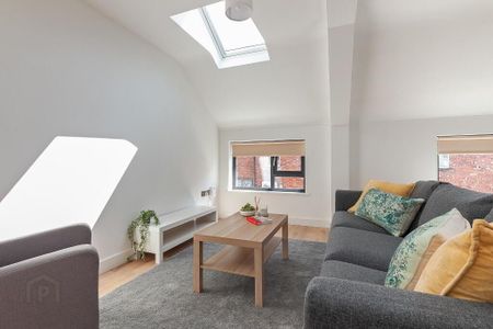 Apt 2, 537a Lisburn Road, Belfast, BT9 7GQ - Photo 4