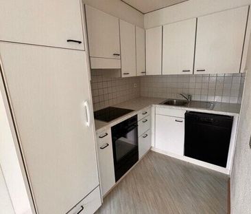neues Zuhause gesucht? - Foto 3
