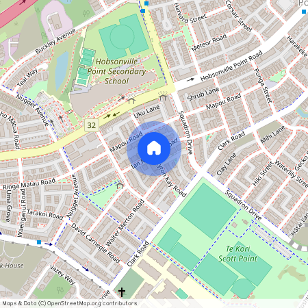 Ian Morrison Road, Hobsonville, Waitakere City