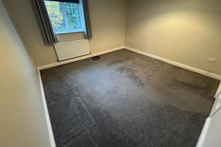 Mouse Lane - Photo 4