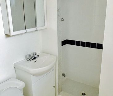 3455 Chemin de la Côte-des-Neiges apartment — Montréal, QC (1-Bedroom) - 1 Bedroom - Photo 4