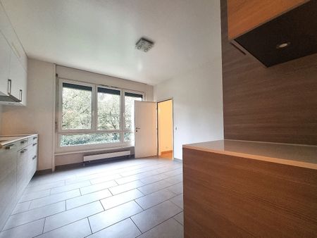 Bel appartement de 6 pièces avec piscine au Petit-Saconnex - Foto 3