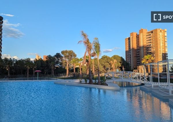 alicante, Valencian Community 03502
