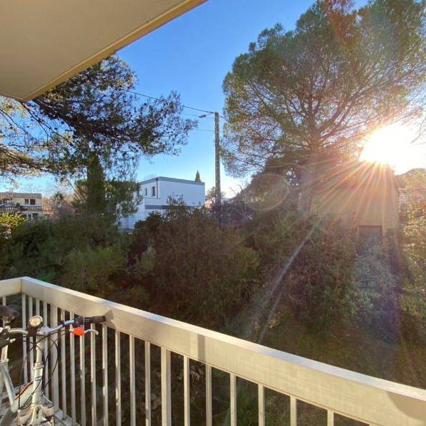 Location appartement 4 pièces 77.07 m² à Montpellier (34000) - Photo 1